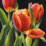 by Debbie Shirley