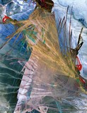 by Mary Clanahan