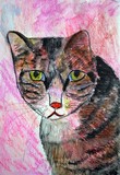 by JEAN FITZHUGH