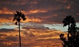 by Debra Kott
