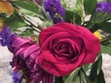 by Debra Kott