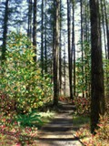 by Holly DeLaughter