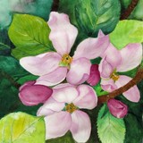 by Anjali Vaidya