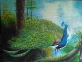 by Anne Venier