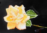 by Arlene Wright-Correll