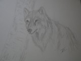 by Joanie Holliday
