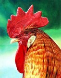 by Ulysses Teixeira