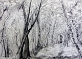 by Anna Beveridge