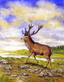 by Charles Skilton