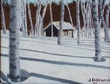 by Ivan P Dobranic