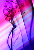 by Sunny Chana