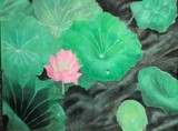 by Quang Manh Tien