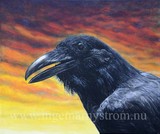 by Ingemar Nystrom