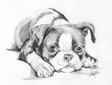 by moraima tinajero