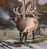 by Thomas Payne