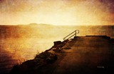 by Randi Grace Nilsberg