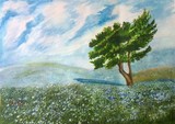 by Neeraj Parswal