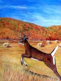 by tami  booher