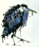 by Rob ijbema