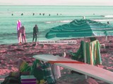 by Lindsay Ahart