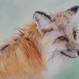 by Debi Ware