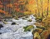 by Robert Springs