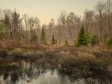 by Jonathan Dakin