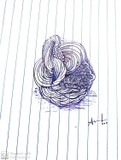 by ammulu .