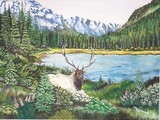 by cathy Gemkow