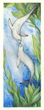 by Jessica Douglas