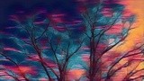 by Colton Kizzire