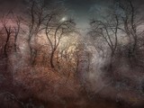 by Charles Oliver