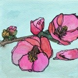 by Zuzi Petals & Pics