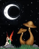 by Holly Avina