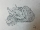 by Ariella Belau
