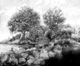 by Lana Korolievskaia