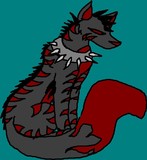 by remy wolf
