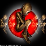 by Paula Bannerman