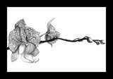 by Erica Messersmith