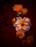 by Phillip Owen