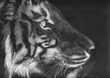 by Anne Kelty