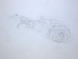 by Crystal (Crow) Edson