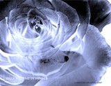 by Christine brand