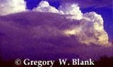 by Gregory  Blank