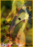 by Donna Vitkauskas