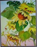 by margo hirsh