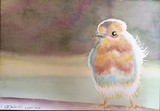 by Belinda Balaski