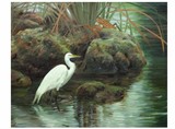by Linda Eades Blackburn