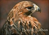 by Bonnie Latham