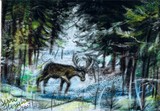 by Terri Walker